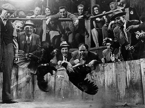 Eric (McQueen), Melba (played by Ann-Margret) 
and Pig (played by Jack Weston). 
Watching the cockfight from amidst the crowd.