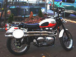 2006 Triumph Bonneville Scrambler